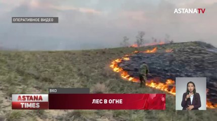 Сгорели две дачи: подростков-поджигателей ищут в ВКО