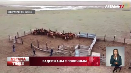 Задержана банда скотокрадов