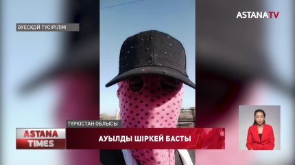 Түркістан облысында шіркейдің көптігінен жаңа туған төл арам қатуда