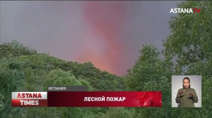 Из-за лесного пожара в Испании эвакуировали целый город