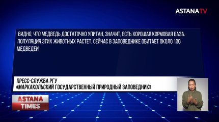 Медведь-браконьер попал в объектив фотоловушки в ВКО