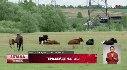 Теріскейде ауыл жұртына жайылымдық жерлер жетіспейді