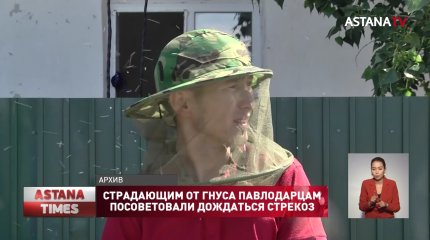 Страдающим от гнуса павлодарцам посоветовали дождаться стрекоз