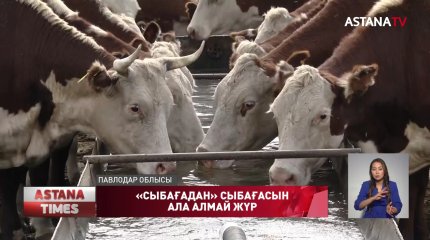 «Сыбағадан» сыбағасын ала алмай жүр