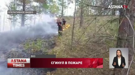 250 гектаров реликтового леса сгорело в резервате под Семеем