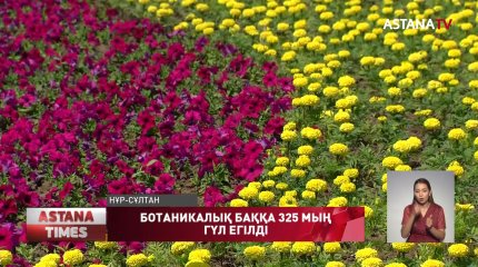 Ботаникалық баққа 325 мың гүл егілді