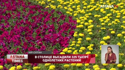 В столичном ботаническом саду высадили 325 тысяч однолетних растений