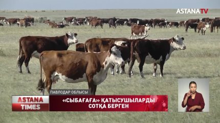 Павлодарда «Сыбаға» мемлекеттік бағдарламасына қатысушылар шетінен істі болып жатыр