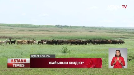 Ақтөбе облысында ауыл тұрғындары мен шаруа қожалығы жайылымға таласуда