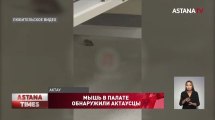 Мыши в детской инфекционной больнице возмутили актаусцев