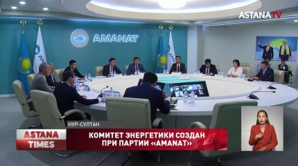 Комитет энергетики создан при партии «AMANAT»