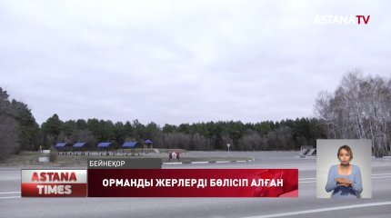 Алматы облысында орманды жерлерді бөлісіп алған