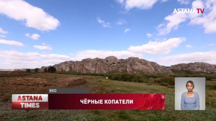 "Действует мафиозная структура": археологи требуют ужесточить наказание для черных копателей