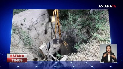 Шымкентте шұңқырға түсіп кеткен жылқы құтқарылды