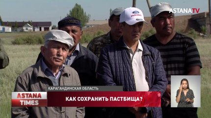 Сотни тысяч гектаров земли не хватает сельчанам для выпаса скота