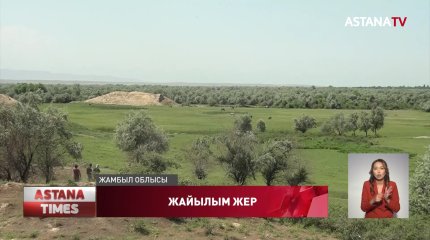 Жайылым тапшылығы мәселесін ауыл әкімдері өз деңгейінде шешуі керек, - Э.Жұмағазиев