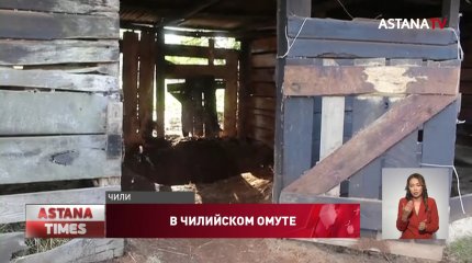 Муж убил жену и закопал на конюшне в Чили