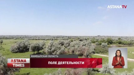 Проблему нехватки пастбищ Эльдар Жумагазиев обсудил с сельчанами Жамбылской области