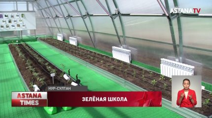 Круглогодичные теплицы заработают при 20 столичных школах