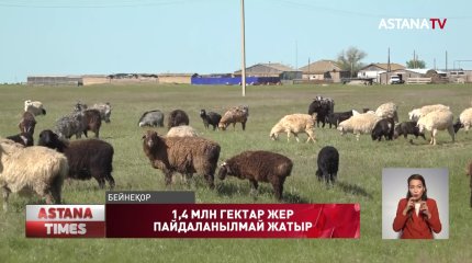 БҚО-да 1,4 млн гектар жер пайдаланылмай бос жатыр