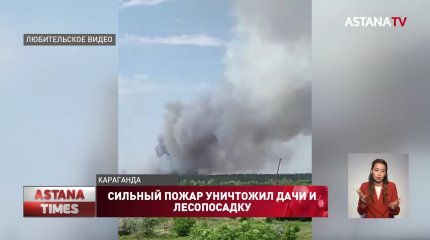 Дачи и 200 гектаров лесопосадки сгорели в Караганде