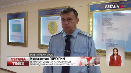 Машин больше, чем горожан: в Усть-Каменогорске на 340 тыс. жителей насчитали 342 тыс. автомобилей