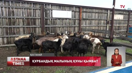 Қостанайда құрбандық малының құны қымбат