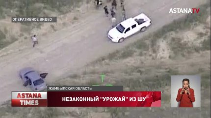 Ликвидирован канал поставки наркотиков из Жамбылской области