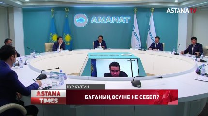 «Үкімет нарықтық экономикамен өзін ақтауға тырысуда», - партия