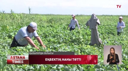 Қызылордалық Жарасовтар отбасының балалары ала жаздай бақша егеді