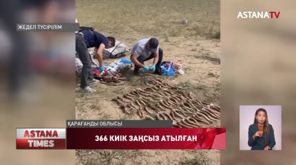 700-ден аса киік мүйізін Қытайға 15 млн АҚШ долларына сатпақ болғандар ұсталды