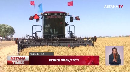 Сыр диқандары егінге орақ салды
