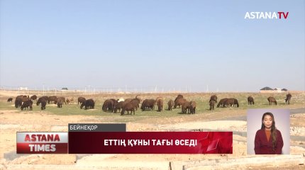 Малға азық болатын жем сатып алуға 20 млрд теңге бөлінген