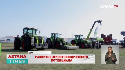 Республиканский слёт животноводов прошел в СКО
