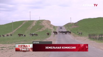 Аким района ВКО хотел завладеть 80 га земли и открыть свиноферму