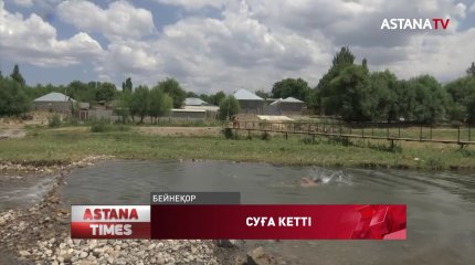 Шымкентте 11 жасар қыз суға батып кетті