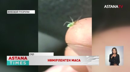 Қызылжарда нөмірленген масалар пайда болды