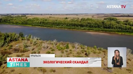 Скандал разгорелся вокруг вырубки леса в пойме Урала