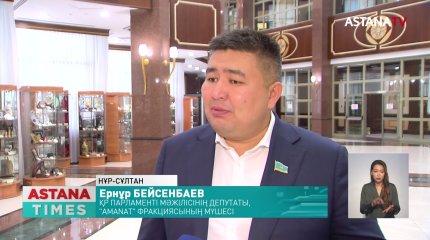 Биылғы президент жолдауы халықтың жыртығына жамау болды, - мәжіліс депутаты