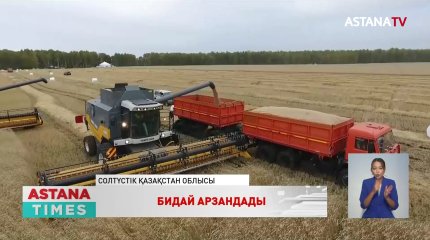 Солтүстік Қазақстанда бидай бағасы арзандады