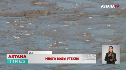 Водоём обмелел из-за разворованной дамбы на Востоке страны
