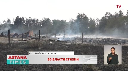 Пожар уничтожил почти половину лесного хозяйства Костанайской области