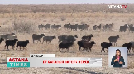 Еттің бағасын көтеру керек,- Е.Қарашөкеев