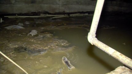 Астанчане 2 года живут с ужасным запахом в квартирах