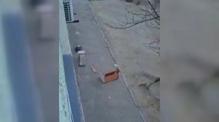 Диван выбросили из окна на голову жителя Актау: родные подозревают подростков