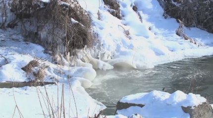 СҚО 85 елдімекенді су басуы мүмкін