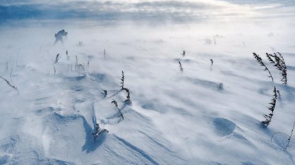 Какой будет погода в феврале и марте, рассказали синоптики