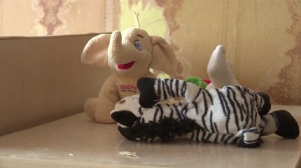 Загадочная смерть в степи: полиция закрыло дело о гибели матери и ребёнка в Карагандинской области