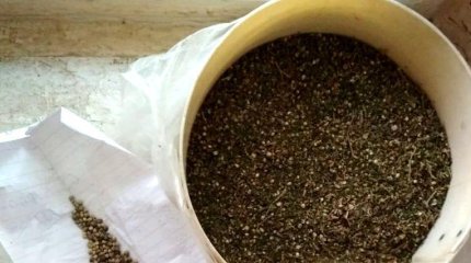 Сотрудник гостиницы в Щучинске изготавливал наркотик из пищевого мака