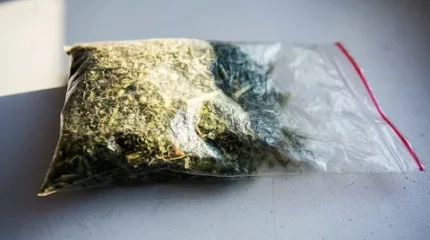 Бір күнде 5 адам ұсталды